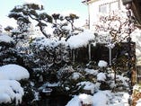 庭の雪景色