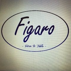 Figaro(tBK) {؉wOX̎ʐ^1