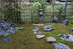 京料理 清和荘_坪庭