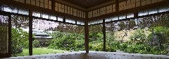 京料理 清和荘_庭園を望む