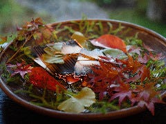 京料理 清和荘_京料理の伝統を守りながら、新しい調理技術も取り入れた御料理