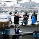 毎日牛深の漁師さんからの仕入れ、牛深市場で直接目利き！