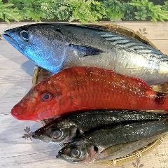 四季彩 吉