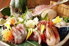 銀座 さかなさま 