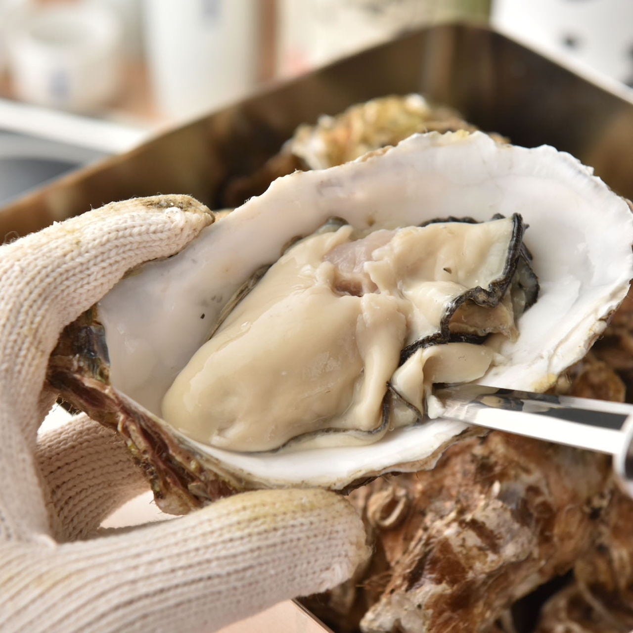 広島名物 牡蠣のガンガン焼き カキフライ90分食べ放題コース 3300円 の詳細 卓上レモンサワー飲み放題 焼き鳥 串巻きあーと 広島流川店 広島市 居酒屋 ぐるなび