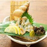 隠岐の島白バイ貝お造り／「越中バイ」で有名な日本海の幸