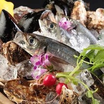 ［日本酒・焼酎飲放居酒屋］日本酒 飲み放題 まんまる 京橋の画像