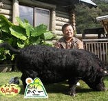 沖縄のやんばる（沖縄県北部）に直営の畜産農場・我那覇畜産があり、自然の中で ゆっくりと、愛情をかけて育てられた最高の豚肉