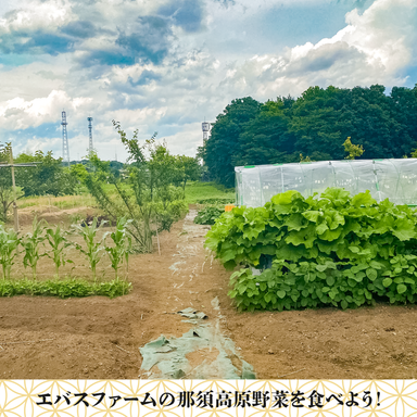 しゃぶしゃぶ わら焼きダイニング ebass こだわりの画像