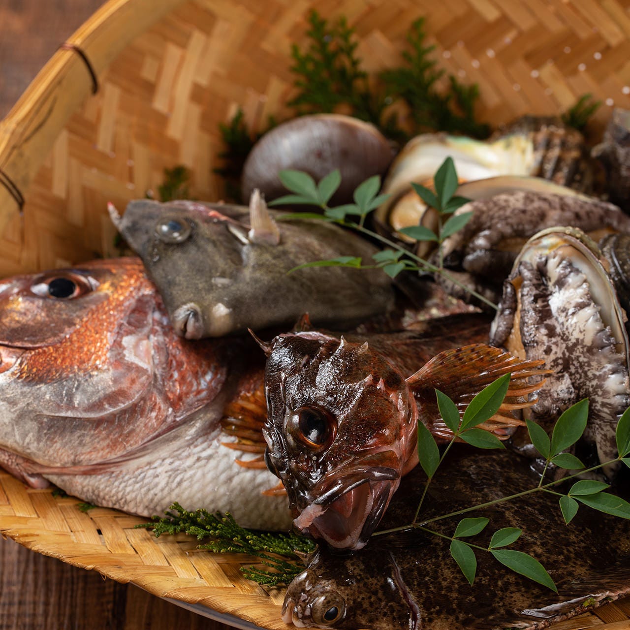 明石港直送の鮮魚が自慢◎四季折々の”和”を堪能してください！