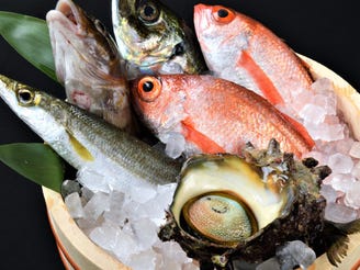 厳選 名駅ののどぐろ 牡蠣など魚料理の店まとめ15選