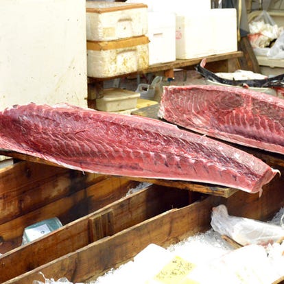 美味しいお店が見つかる 築地 場外市場周辺 寿司 すし 日曜営業 おすすめ人気レストラン ぐるなび