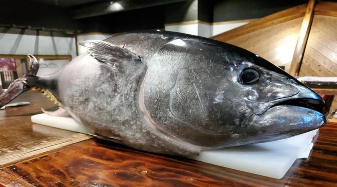 釣船茶屋 ざうお 難波本店 大阪 日本橋 海鮮 海鮮料理 ぐるなび