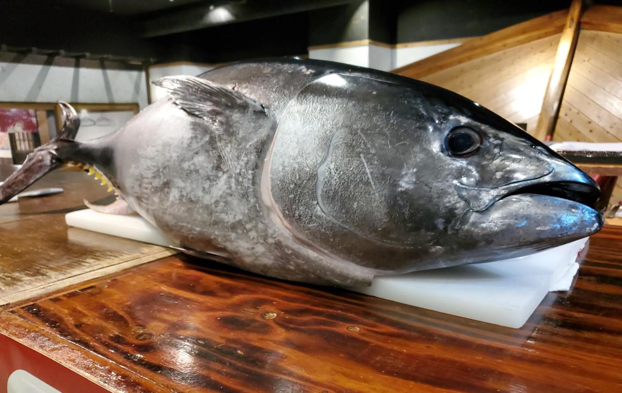 21年 最新グルメ 釣船茶屋 ざうお 難波本店 大阪 日本橋 レストラン カフェ 居酒屋のネット予約 大阪版 21年 最新グルメ 釣船茶屋 ざうお 難波本店 大阪 日本橋 レストラン カフェ 居酒屋のネット予約 大阪版