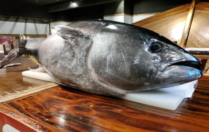 釣船茶屋 ざうお 難波本店 大阪 日本橋 海鮮 海鮮料理 ぐるなび