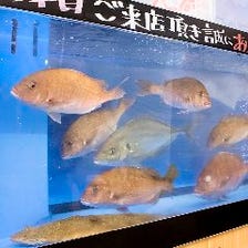 活魚を楽しめる！水槽がある居酒屋