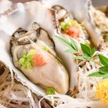 大ぶりな岩牡蠣【愛知県】