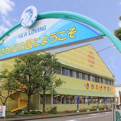 さかな大食堂 渚