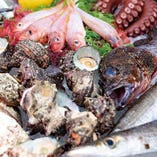◆鮮魚◆
相模湾で水揚げされた鮮度抜群の地魚に舌鼓