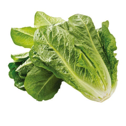 しゃぶしゃぶ温野菜 大浦街道店 しゃぶしゃぶ