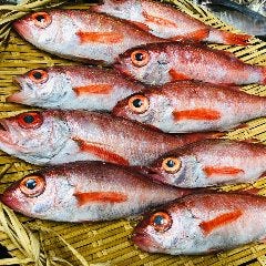 橋本で宴会におすすめなお店特集 橋本で宴会におすすめなお店特集