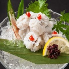 活け鱧(はも)落とし