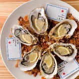 牡蠣にこだわる本格Oyster Bar！！【豊洲市場】