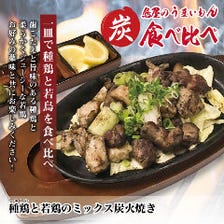 種鶏と若鶏のミックス炭火焼