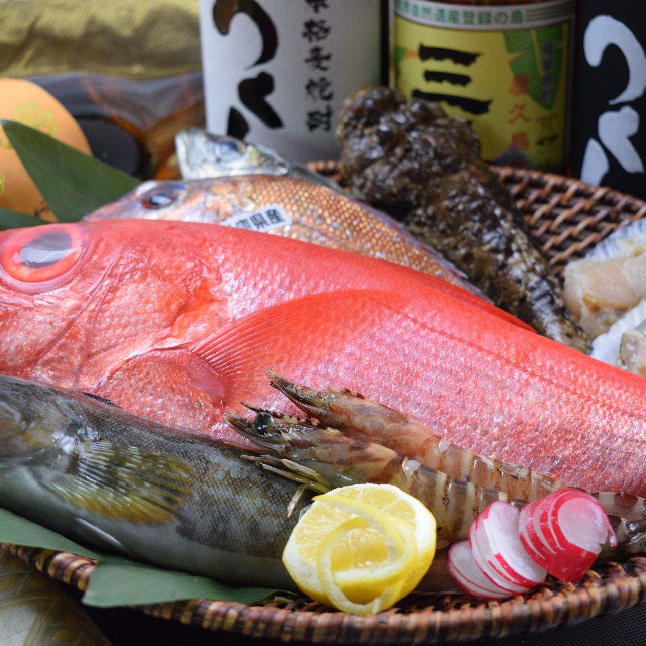 全席個室 お造り 魚炭焼き 熟成肉など 期間限定おすすめコース 5000円の詳細 銀しゃり 炭火七輪焼き ふくね 明石 居酒屋 ぐるなび