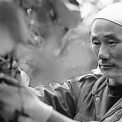 日本晴ル TOKOTON 高田馬場