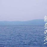 天然の生け簀「七尾港」などの漁港から入荷する鮮魚【石川県】