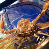 石川の冬「ずわい蟹」石川県ブランド加能蟹が11月7日～登場