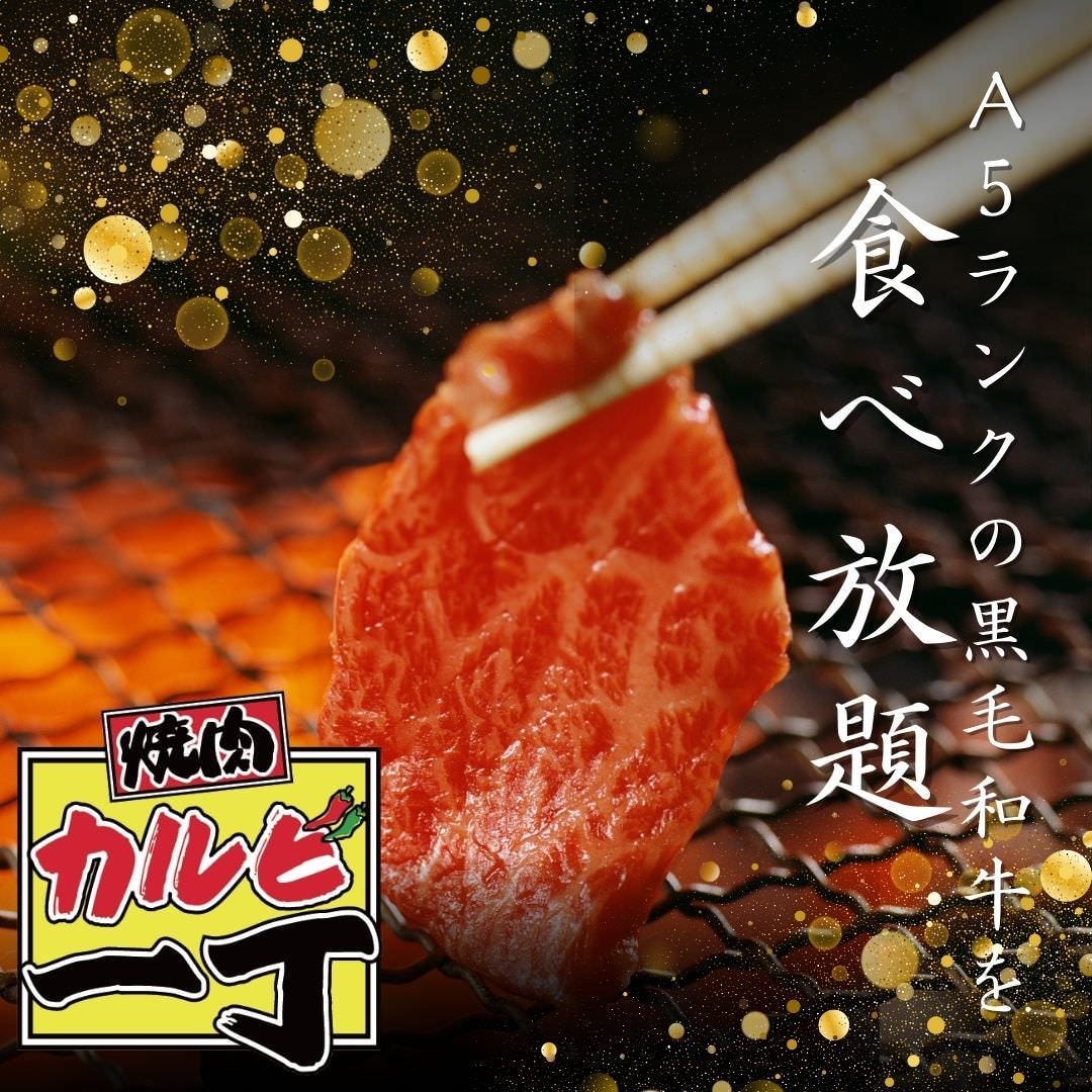焼肉カルビ一丁 沼津店（沼津/居酒屋） - 楽天ぐるなび