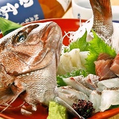 世界一の養殖鯛「鯛一郎クン」