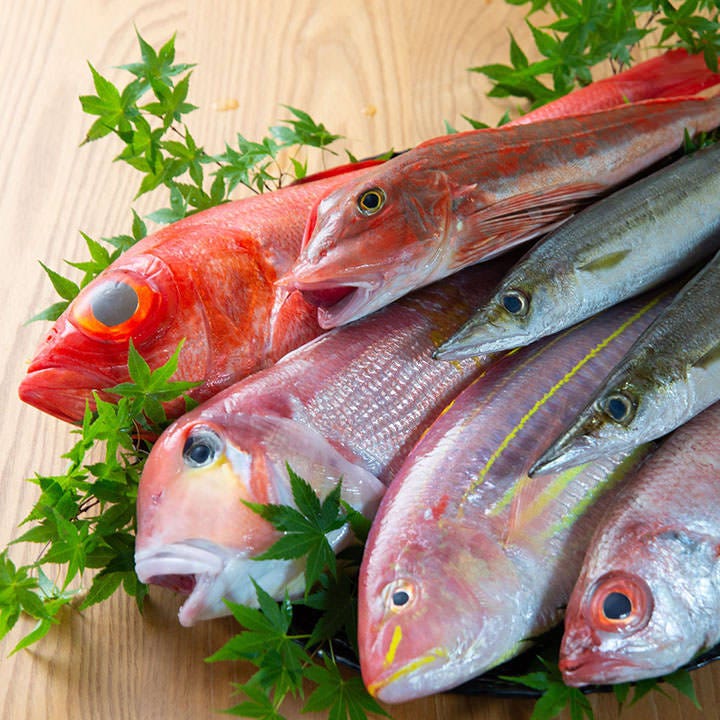 料理長が中央市場へ行き、直接目利きした魚介類を多数ご用意。