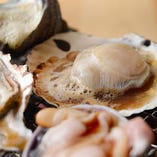 様々な貝が一度に楽しめる『貝盛』！仕入れによって貝の種類が変わるため、季節の美味しい貝をその都度、楽しめます。