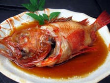 旬の魚介を多彩な料理法でご提供！！