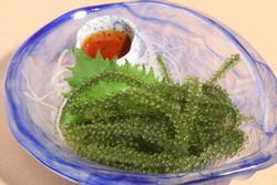 海人 うみんちゅ 大山店 板橋 居酒屋 ぐるなび