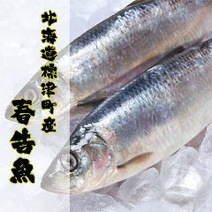 北海道標津町産『春告魚 -ニシン- 』