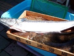 だいがく 明石店