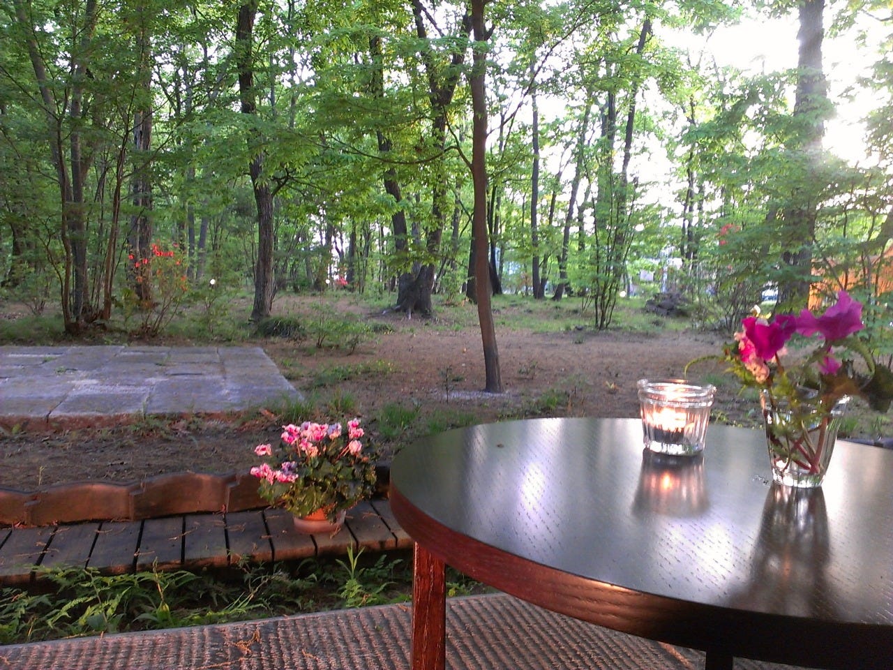 武藏野山居 (所泽/比萨饼) - gurunavi 日本美食餐厅指南