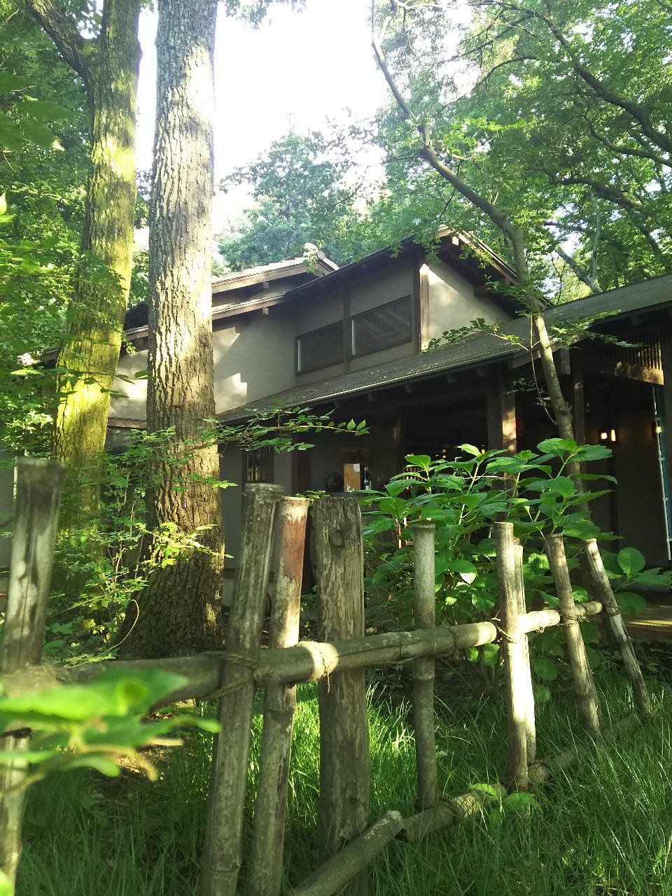 やきとりにしだ場 狭山ヶ丘店 狭山ヶ丘 居酒屋 焼鳥 Goo地図 やきとりにしだ場 狭山ヶ丘店 狭山ヶ丘 居酒屋 焼鳥 Goo地図
