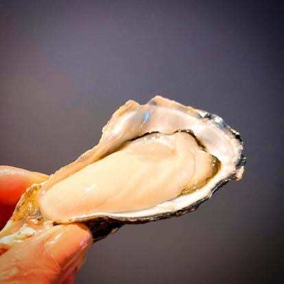 美味しいお店が見つかる 東京都 牡蠣料理 牡蠣小屋 お一人様歓迎 おすすめ人気レストラン ぐるなび