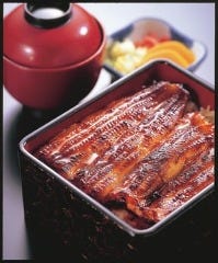 浜松で接待におすすめな料亭 レストラン