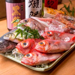 居酒屋 はせ川 岡崎本店 