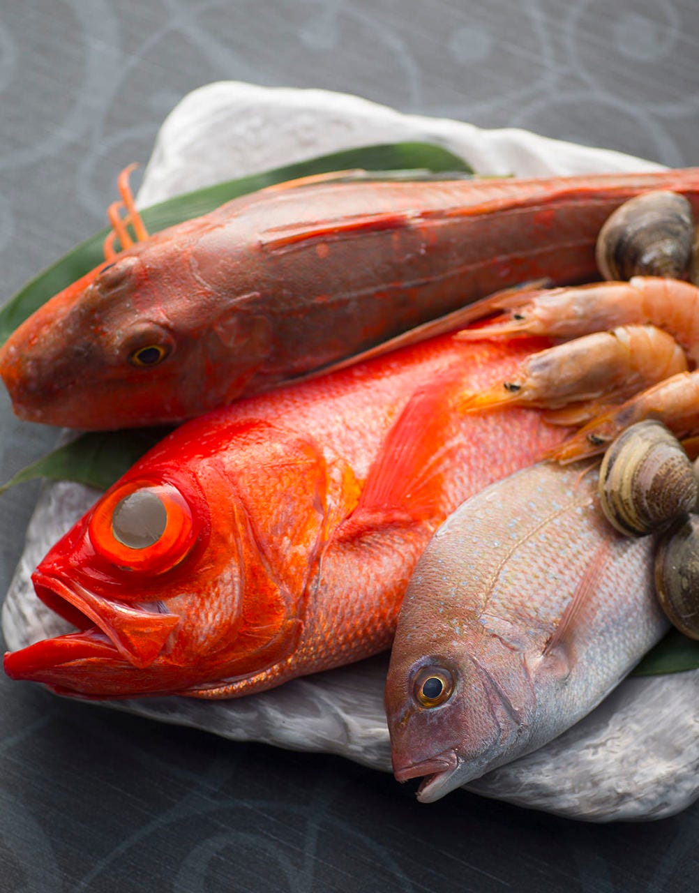 天然魚はシンプルな調理法で
本来の美味しさをお楽しみください