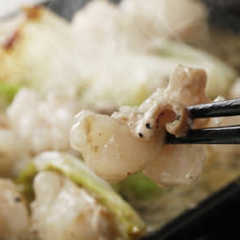 九州酒場 エビス 三鷹店