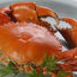 浜名湖産どうまん蟹（春～秋）