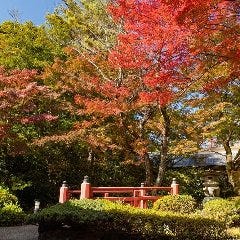 訪れる度に色を変える料亭百楽荘