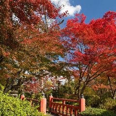 訪れる度に色を変える料亭百楽荘